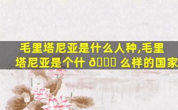 毛里塔尼亚是什么人种,毛里塔尼亚是个什 🐋 么样的国家